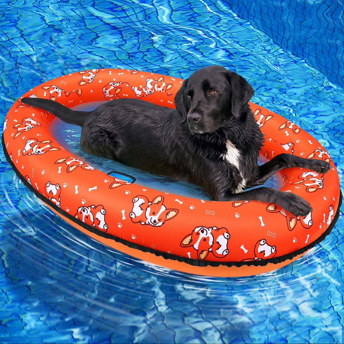 UJG dog float top view; spacious 55x35 platform for dogs