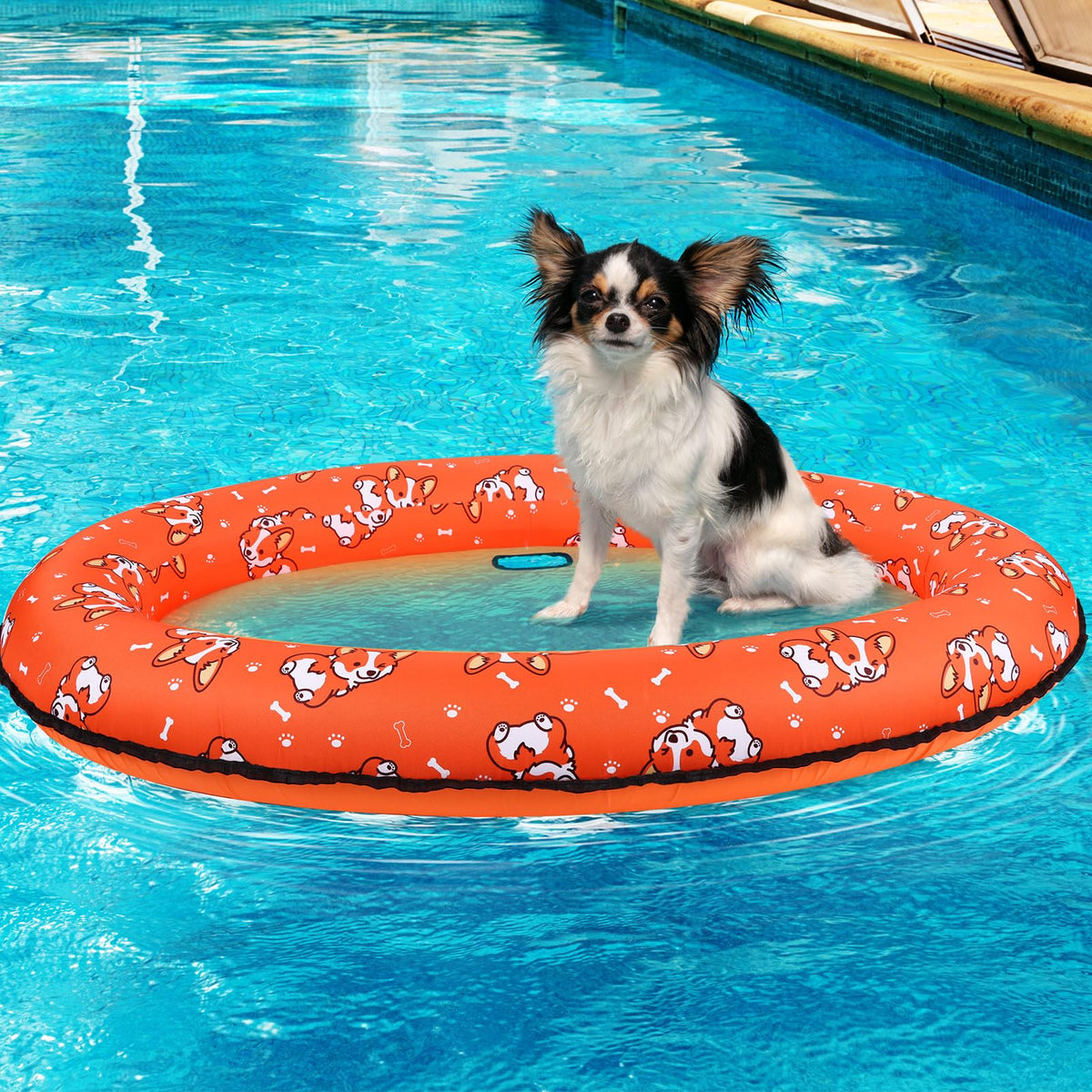 UJG dog float exclusive pattern design for stylish pool time