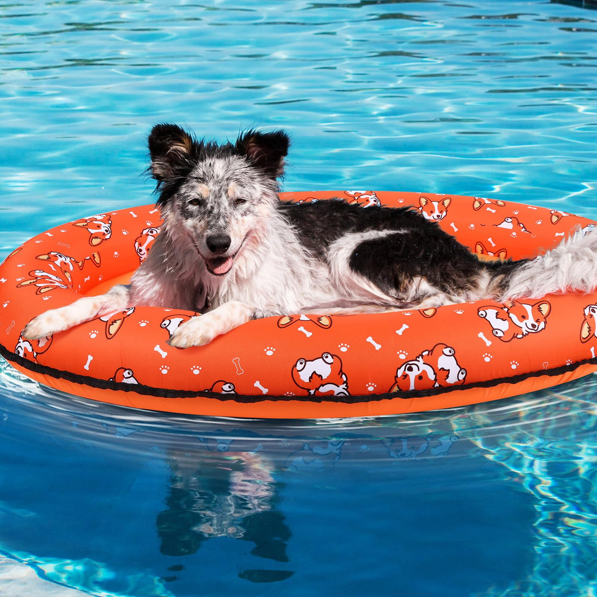 UJG dog float folded for storage and transport