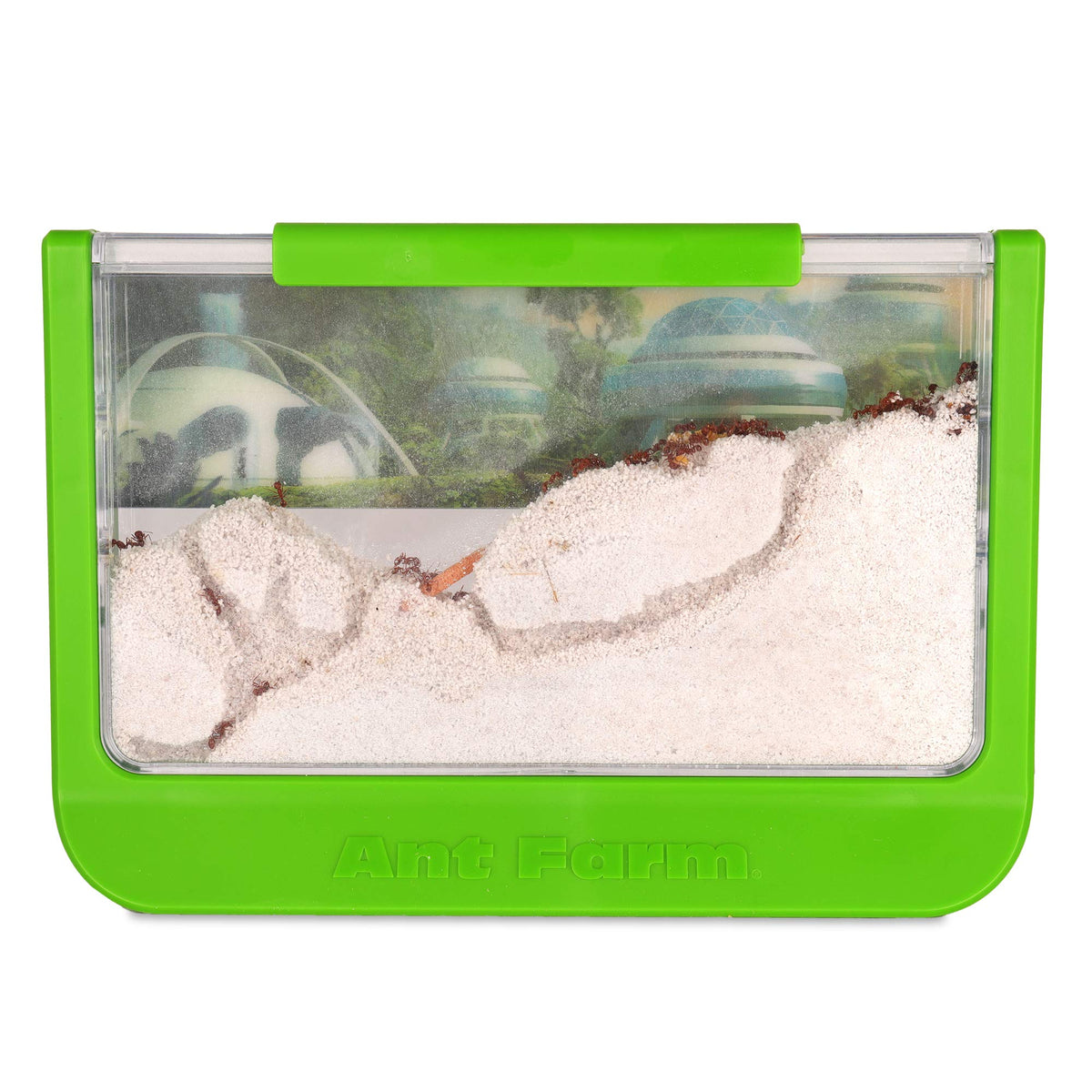 Uncle Milton Antopia Rainforest Habitat ants tunneling in sand