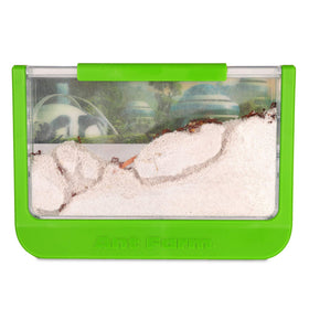 Uncle Milton Antopia Rainforest Habitat ants tunneling in sand