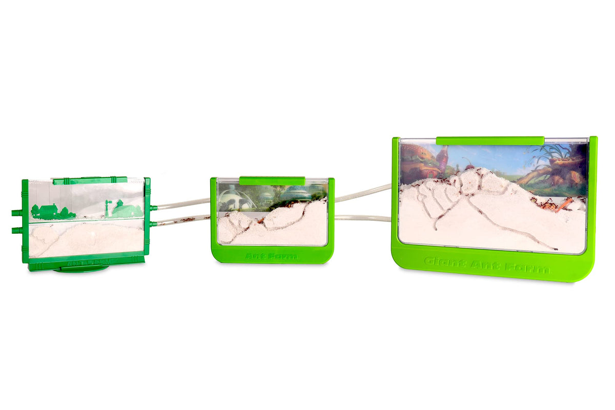Uncle Milton Antopia Rainforest Habitat with four antports connects habitats