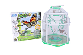 Uncle Milton transformation chamber capturing metamorphosis in real time