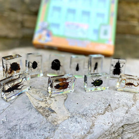 Uncle Milton Geoworld booklet helps identify each insect.