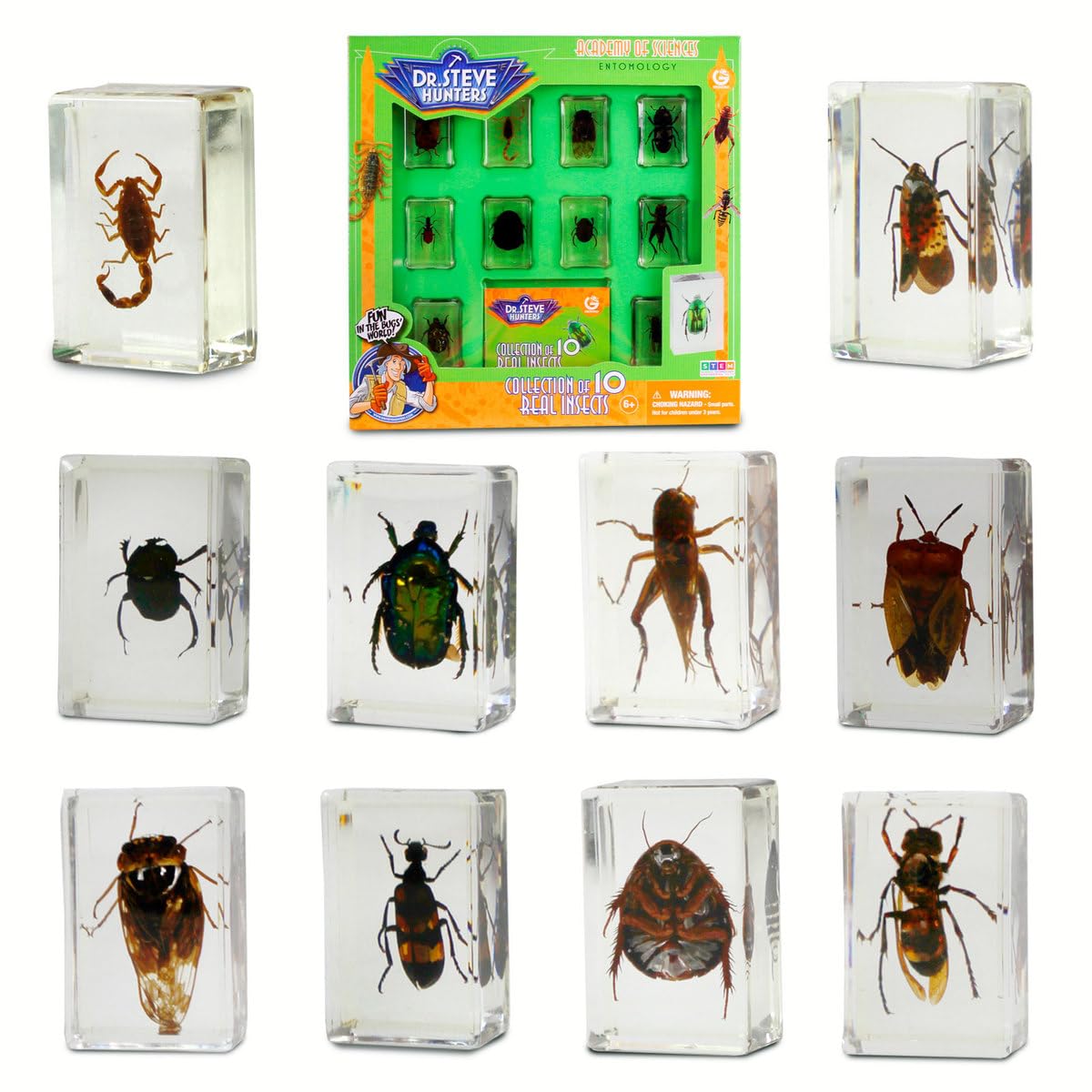 Uncle Milton Geoworld insect specimens in resin for close study at home.