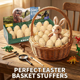 Uregoio 12 dinosaur eggs dig kit learning cards guide paleontology curiosity.