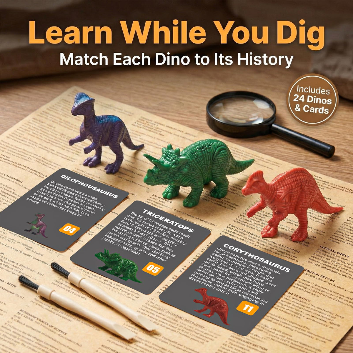 Uregoio magnifying glass included for close-up examination of finds