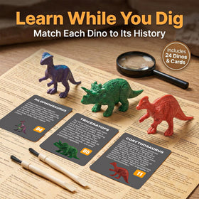 Uregoio magnifying glass included for close-up examination of finds