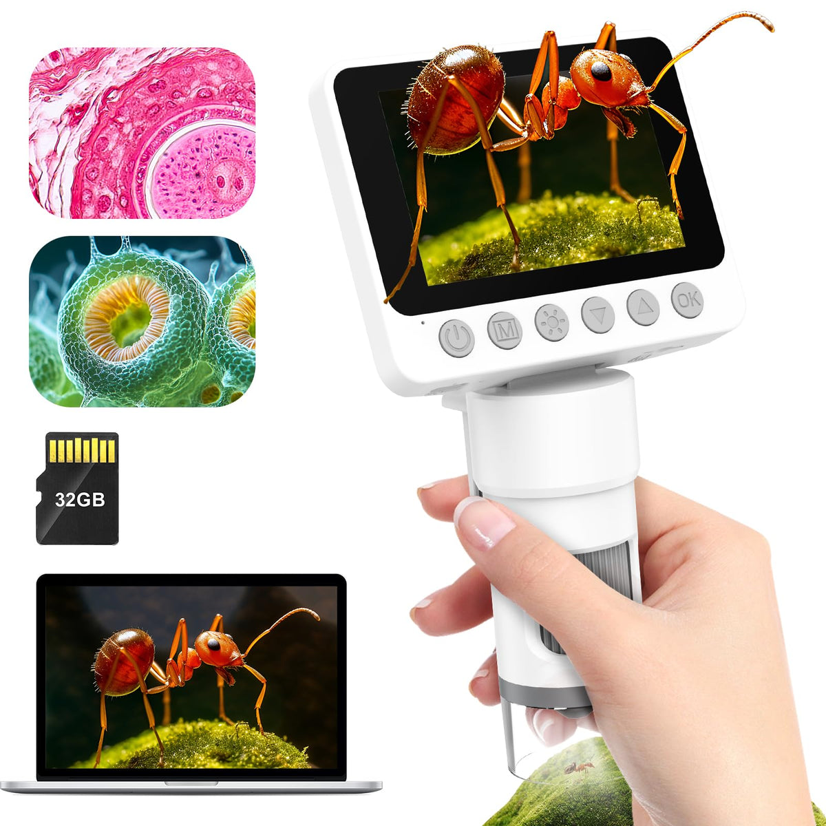 USCAMEL science learning setup supports hands-on exploration
