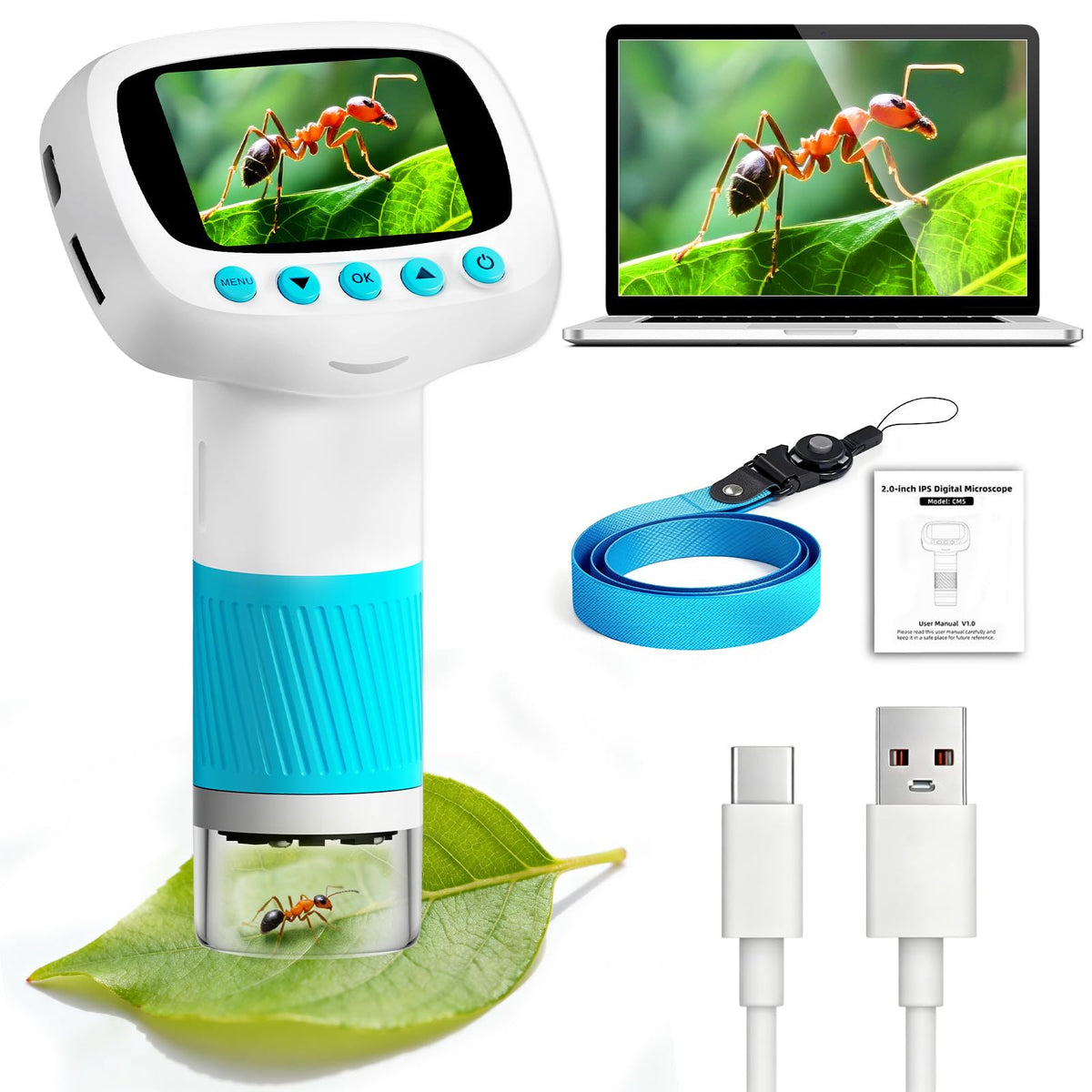 Vastaint WonderQuest microscope display shows real-time colorful details for curious kids.