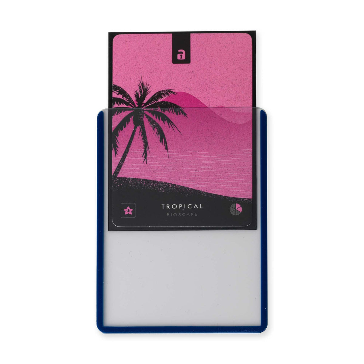 Vault X Toploaders crystal-clear blue tint improves card visibility