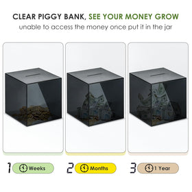 Vcertcpl transparent savings jar highlighting visible money