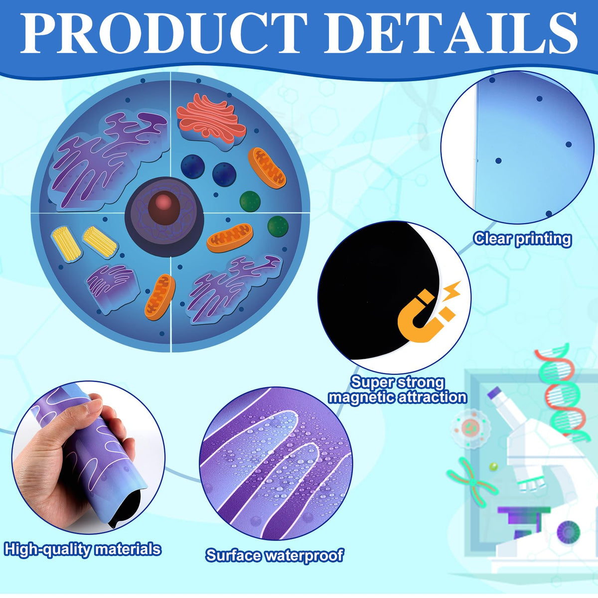 VercanMonth colorful cell parts magnets illustrating distinct structures for retention