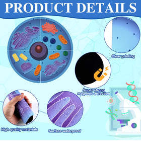 VercanMonth colorful cell parts magnets illustrating distinct structures for retention