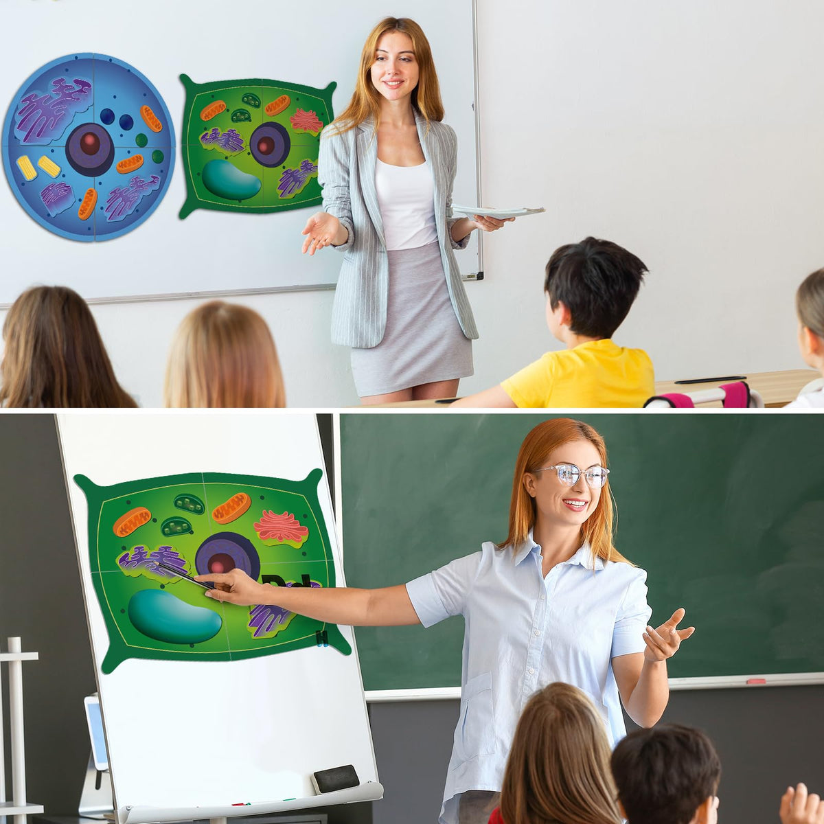 VercanMonth durable odorless materials for long-term classroom use and safe handling