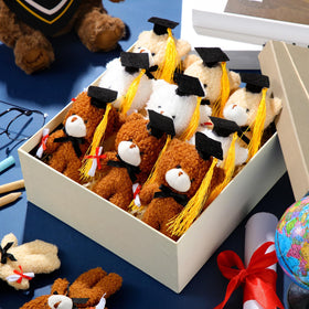 VercanMonth graduation bear 24pcs pack for decor and gifts