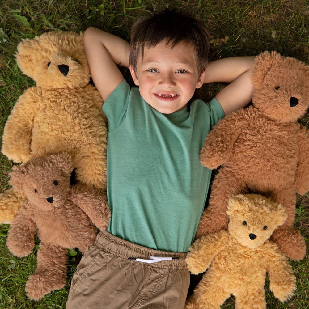 Vermont Teddy Bear 18-inch brown bear visiting Bear Hospital concept.