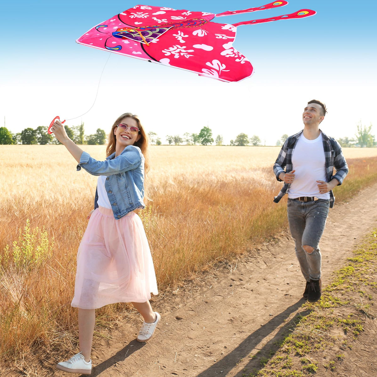 Vertintong long-tail kite large style for stable wind flight.