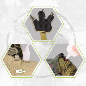 VERTOY indoor-outdoor play versatility on carpet or lawn.