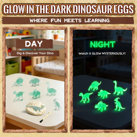 VICHTOP knowledge cards accompany each egg to spark dinosaur facts.