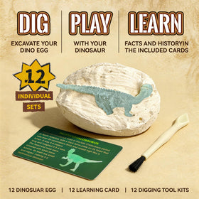 VICHTOP non-toxic plaster keeps cleanup quick for mess-free pretend science.