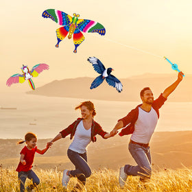 VioraWhite beach-ready kite set fits in a backpack