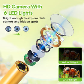 Vivid Glass borescope offers 360-degree viewing