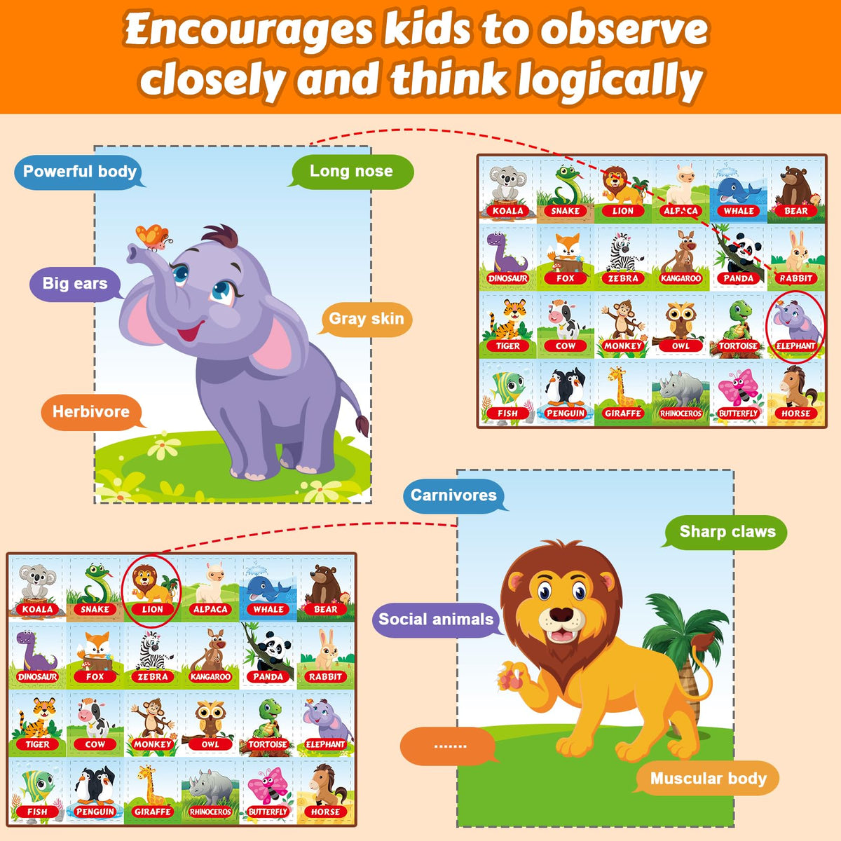 VizikN animal cards spread invites curiosity and learning through playful guessing.