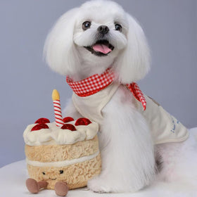 VLYUVUY Birthday Cake Plush Room Decor – charming accent that brightens a child’s space.