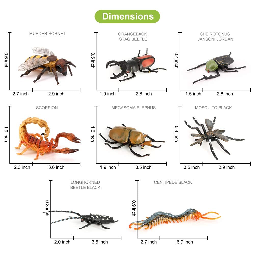 Volnau eupatorus gracilicornis toy safe for bath time and decoration