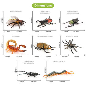 Volnau eupatorus gracilicornis toy safe for bath time and decoration