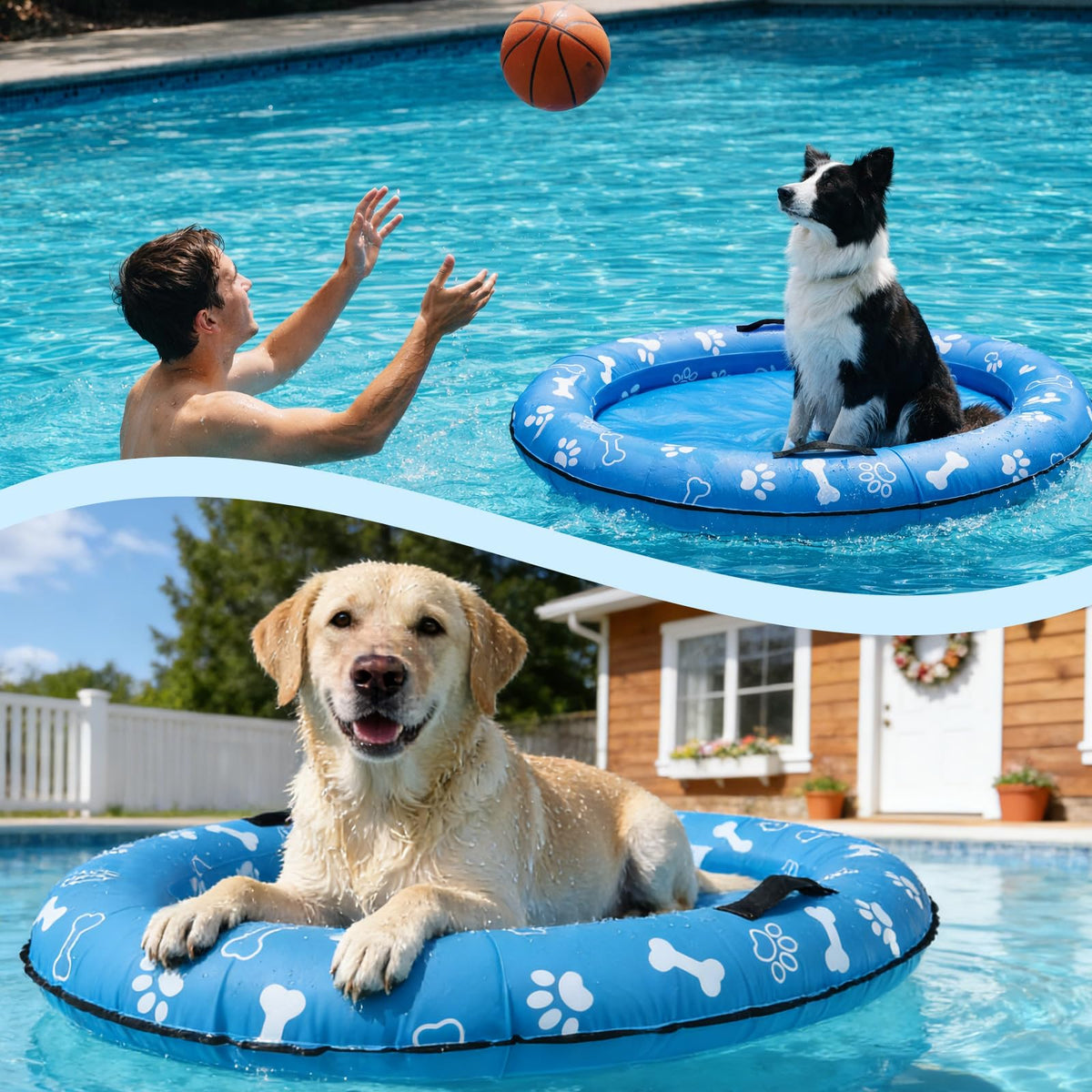 Vortexain bright colors and dog prints attract attention during outdoor summer fun