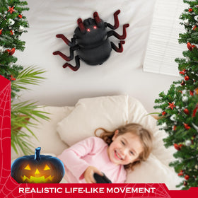VRG tarantula gift-ready packaging makes a playful present choice