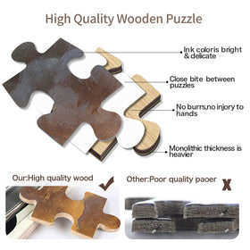 WACYDSD image-customization option lets you personalize puzzles with family photos.