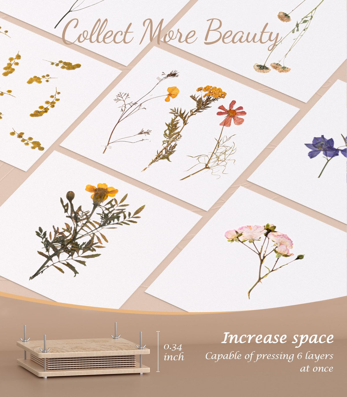 Wakhow's eleven-inch ten-tier press enables simultaneous pressing of multiple blooms.