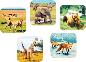 Warm Fuzzy 3D Viewfinder discs show 21 HD images to spark curiosity
