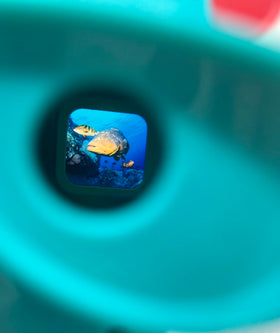 Warm Fuzzy 3D Viewfinder Sea Life underwater images capture vibrant scenes in crisp 3D detail.