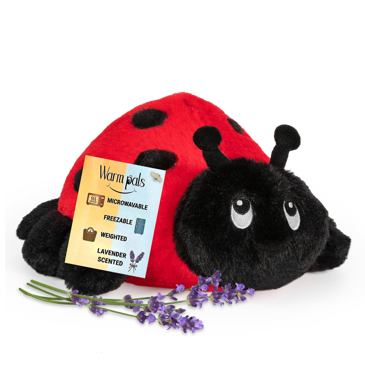 Warm Pals Ladybug close-up ready for microwaving and warm hugs.