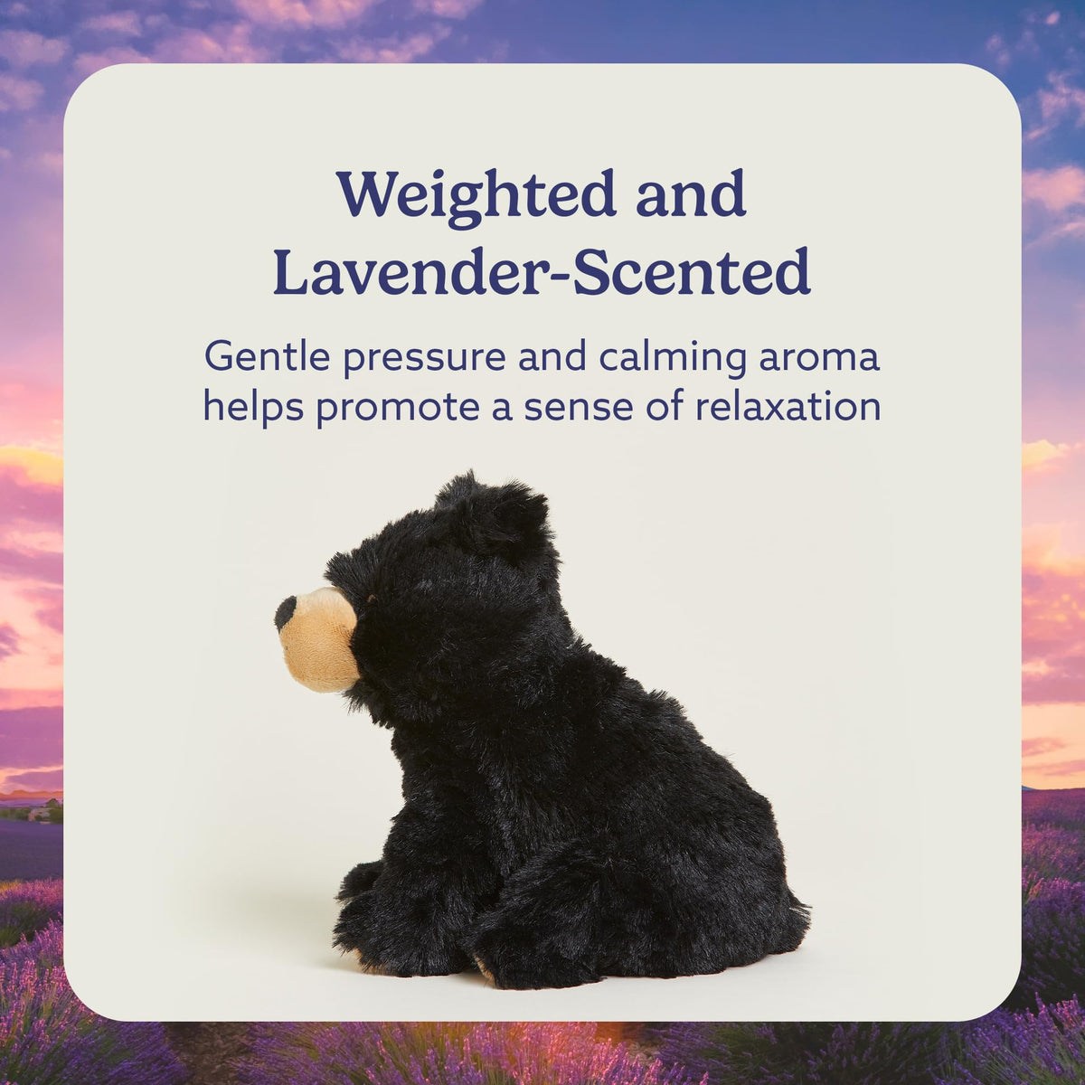 Warmies Black Bear weighted plush provides a cozy hug