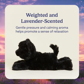 Warmies Black Cat lavender-scented plush adds calming aroma