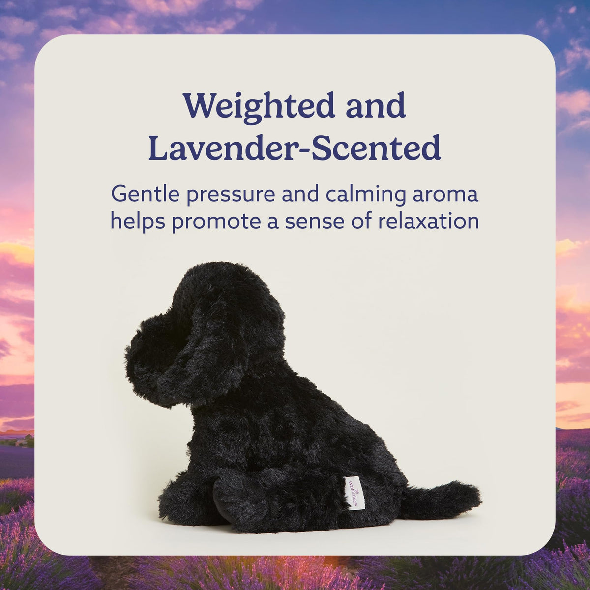 Warmies Black Lab weighted-snuggle offers a cozy, comforting feel