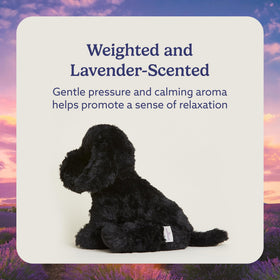 Warmies Black Lab weighted-snuggle offers a cozy, comforting feel