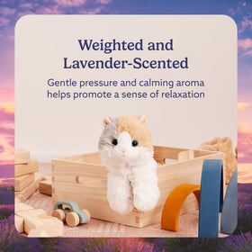 Warmies Calico Cat heating focus demonstrates safe microwave warmth for relaxing evenings.