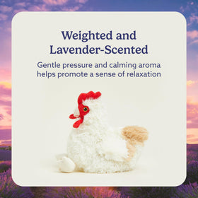 Warmies chicken plush cooling scene, helps refresh on hot days.