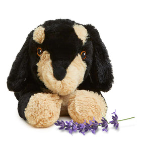 Warmies dachshund plush warming in a microwave for comforting heat.