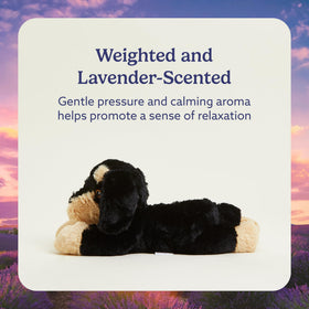 Weighted Warmies dachshund plush resting softly for cozy support.