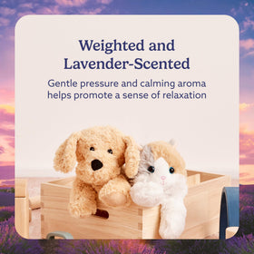 Warmies Golden Dog soft plush ideal for bedtime calming moments.