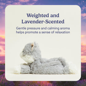 Warmies gray cat weighted plush closeup emphasizing cozy weight for calm snuggles and bedtime