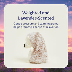 Warmies hedgehog lavender-scented toy supports relaxing bedtime routine.