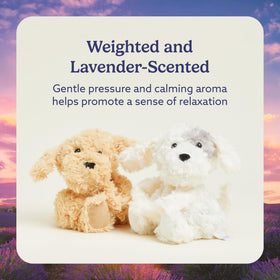 Warmies Hugs Duo Puppy lavender-scented calm for relaxation